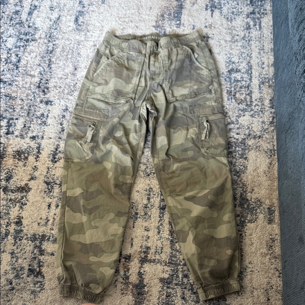 American Eagle Outfitters Olive Cargo Pants